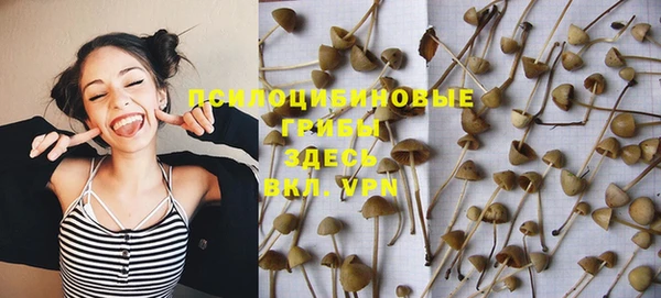 ALPHA PVP Осинники