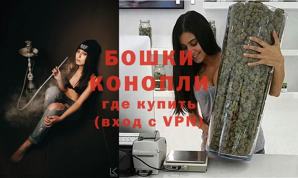 крисы Осташков