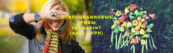 крисы Осташков