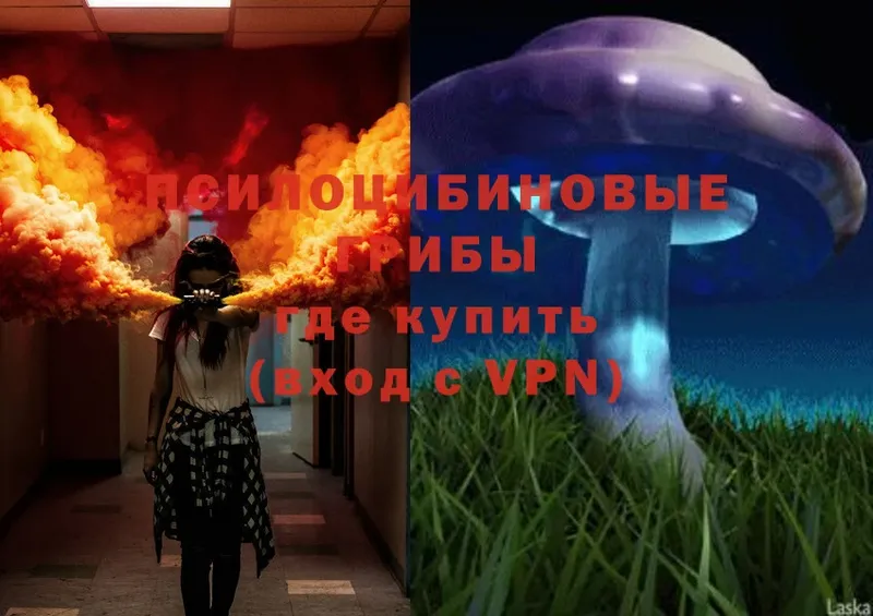 Галлюциногенные грибы Magic Shrooms  хочу   Кинешма 